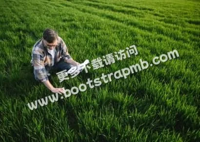探索体育世界的精彩 - 爱游戏体育APP下载