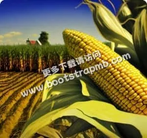 7×14小时中文客服在线 - 爱游戏体育APP下载
