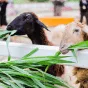 搜索 - 爱游戏体育APP下载